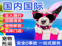 宜春明月山机场空运国际宠物托运 【国